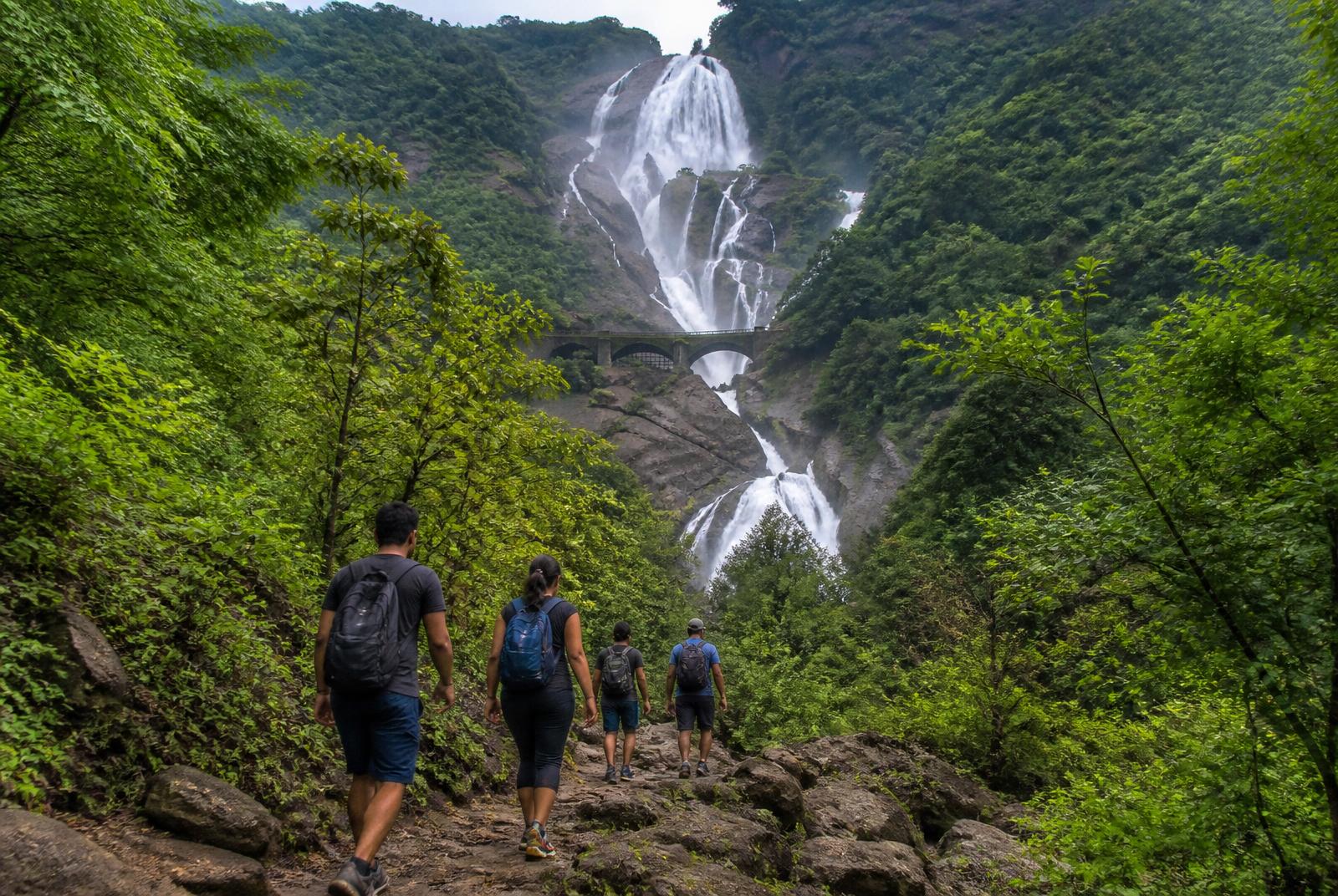 Trekkers walking through the forest toward clear Dudhsagar Falls in Goa